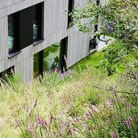 Sauerland - Haus Juliana Tatil Evi Winterberg