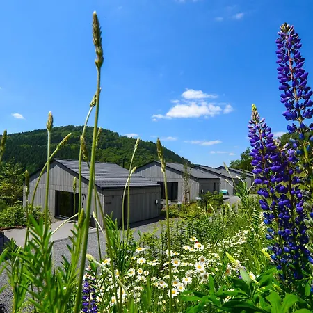 Sauerland - Haus Juliana Winterberg