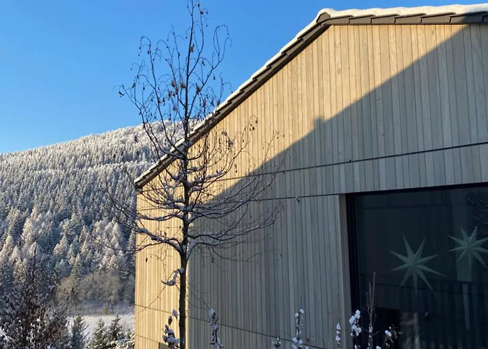 Sauerland - Haus Juliana Tatil Evi Winterberg